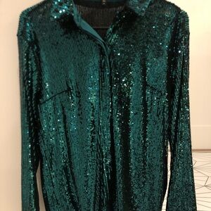 Express Emerald Sequin Blouse